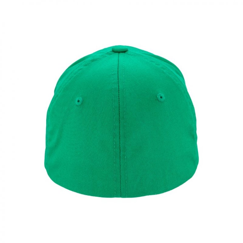 Czapka z daszkiem Octagon Small Logo green